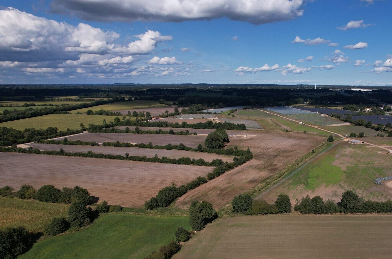 Photovoltaik-Freiflächenanlage mit Knicks in Schleswig-Holstein